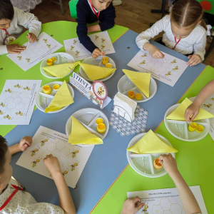 Activitate de evaluare Grupa 4